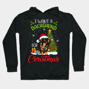 I Want A Dachshund For Christmas Cute Gift Xmas Costume Hoodie